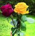 Lorie Ford - Facebook