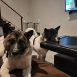 Lori Gibson - @lorigibson469 - Instagram