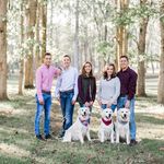 Lori Gibson - @goldenacres_golden_retrievers - Instagram