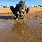 Lori Gibson - @littlebitt_of_nature - Instagram