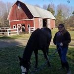 Lorie Goodale - @loriegoodale - Instagram