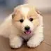 loriegray1362 - @loriegray1362 - TikTok