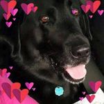 Lorie Hall Faircloth - @loriehallfaircloth - Instagram