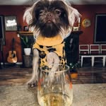 Lori Hampton - @fetch_regina - Instagram