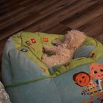 Lori Hampton - @hampton85873 - Instagram