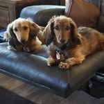Lori Heisler Hampton - @lori.hampton.18 - Instagram