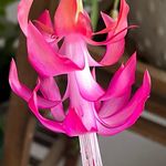 Lorie James Reich - @lhensel12 - Instagram