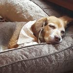 Lori Kirk - @lori.kirk.133 - Instagram