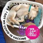 Lori Kirk Woelfel - @llwoelfel - Instagram