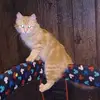 Lorie Ann Dibble Krupp - @lorie.ann.dibble - TikTok