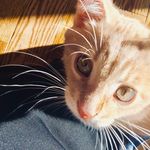Laurie Labbe - @labbe_laurie - Instagram