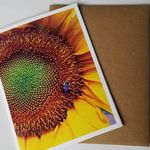 Lorie Marsh - @forwardmarshpaperco - Instagram