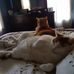 Lori Masters - Facebook