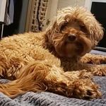 Lorie Gogo McCann - @loriegogo - Instagram