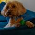 Lorie Mccann - Facebook