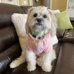 Lorie Morrison - @morrison.lorie - Instagram