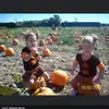 lorierobertsmorse - @lorierobertsmorse - TikTok
