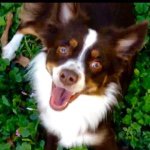 Lorie McDonald Murphy - @lormurphh - Instagram