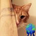 Lorie Murray - Facebook