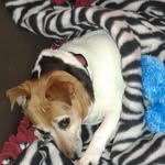 Lori Nicholson - @nicholson5530 - Instagram