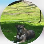 Lori Nicholson Pyle - @__lorinicholsonpyle - Instagram