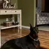 lorienicholson1 - @lorienicholson1 - TikTok