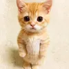 Lori.Oconnell - @gutmandyo4i - TikTok