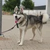 Lori.Oconnell - @kollaxhvnq3 - TikTok