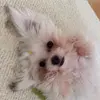 Lori.Oconnell - @hansethkbq6 - TikTok