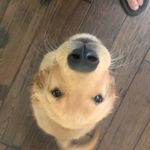 Lori Orr - @coachorr - Instagram