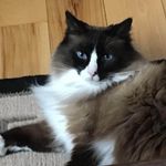 Lorie Page - @pagelorie - Instagram