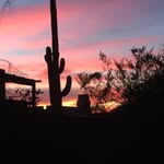 Lori Perdue - @loriperdue928 - Instagram