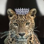 Lorin Queen - Facebook