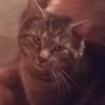 Lorie Ray Neibel - @dreamdragonangel - Instagram