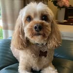 Lorie Reed - @loriereed9 - Instagram