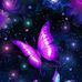 Lorie Rice - Facebook