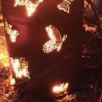 Lorrie Riley - Facebook
