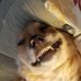 Lorie Ringo - Facebook