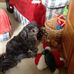 Lorie Roe Swearingen - Facebook