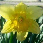 Lori Shepherd Park - @lorishepherdpark - Instagram