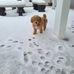 Lorie Short - Facebook