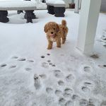 Lorie Short - @lorie.short24 - Instagram