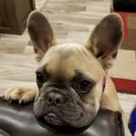 Lorie Carnes Simmons - @loriesimmons18 - Instagram