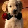 Lorie Simmons Carson - @lorie.simmons.car - TikTok