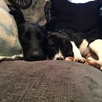 Lorri Simmons - Facebook
