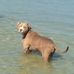 Lorie Harrison Stanley - Facebook