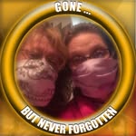 Lorie Sullivan - @loriesullivan65 - Instagram