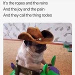 Lori Talbot - @luther969 - Instagram