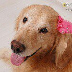 Lorie Faye Dela Vega - @teddybearfaye_31 - Instagram