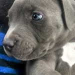 Lori Wade - @lori.wade.355 - Instagram